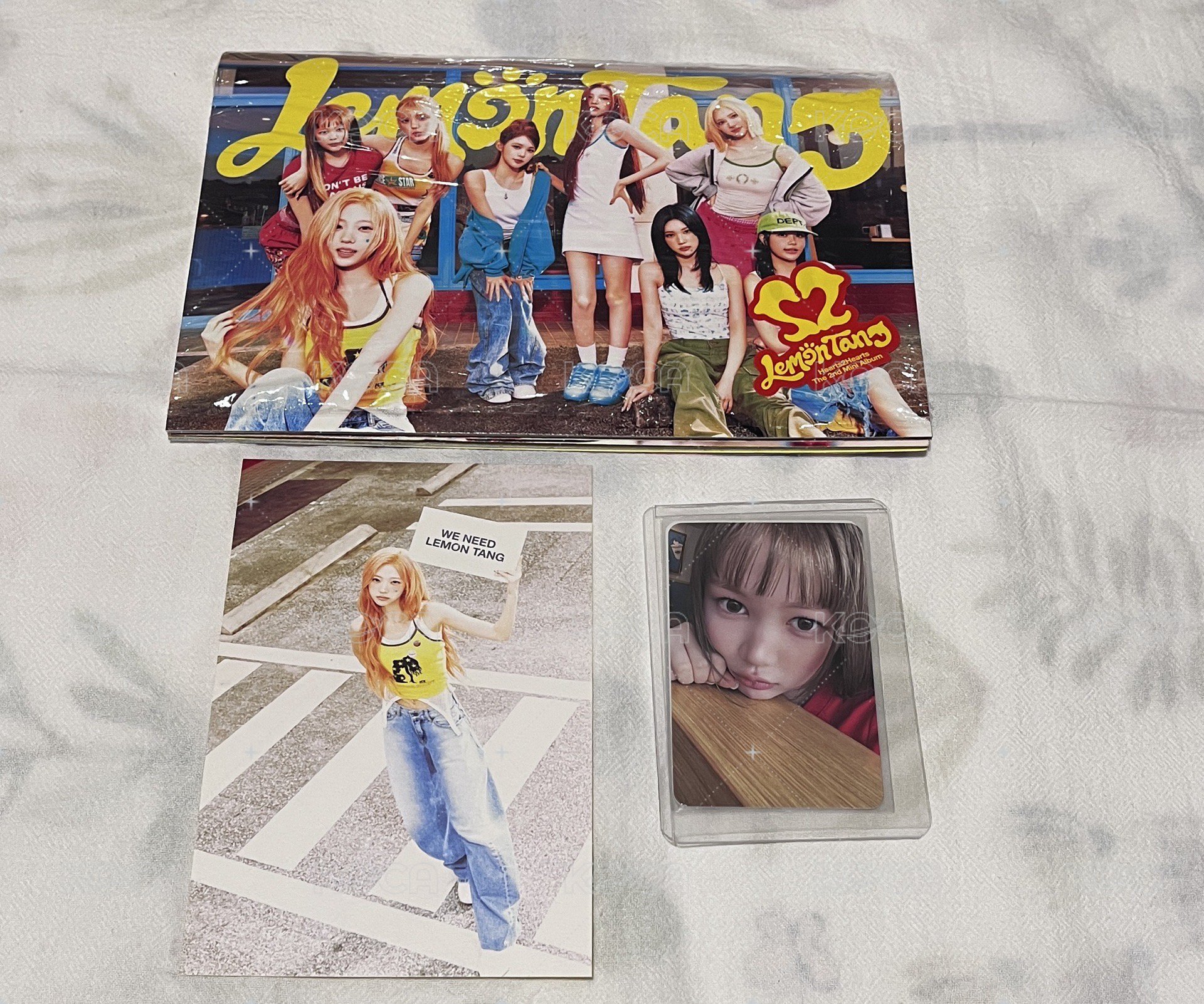 LS Yeon卡Stella明信片