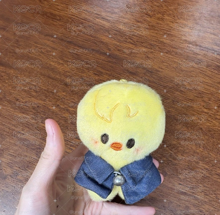 魔法菲