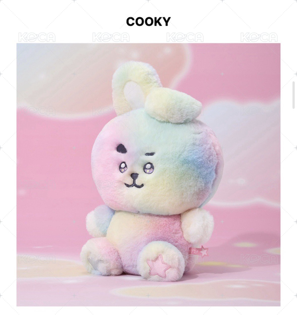 cooky