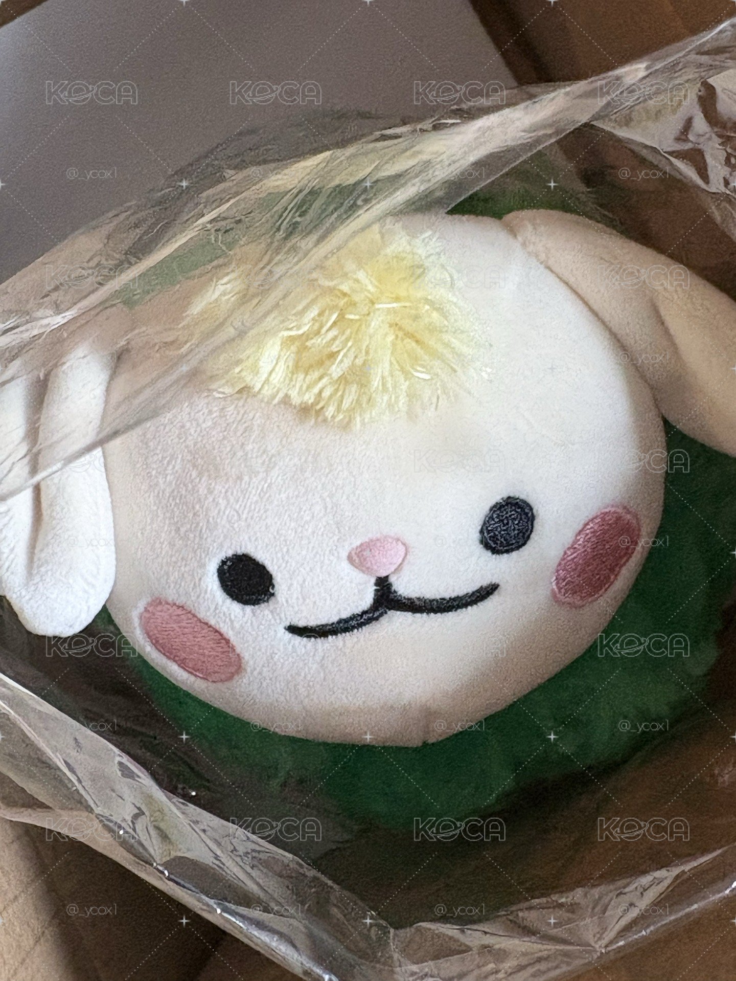 原皮TEORI