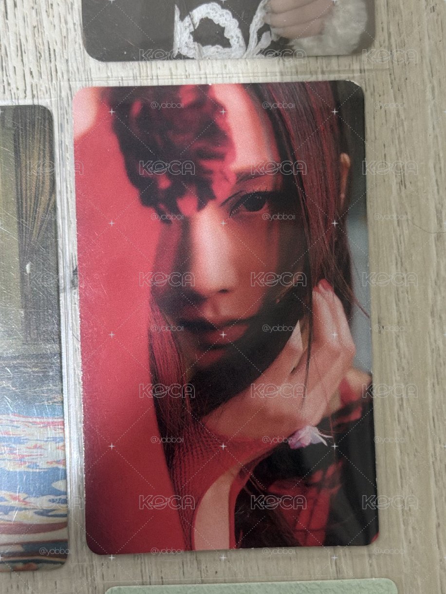 美美秀