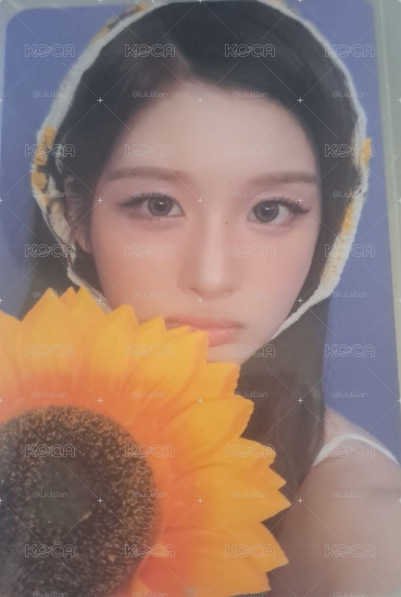 向日葵🌻 薛