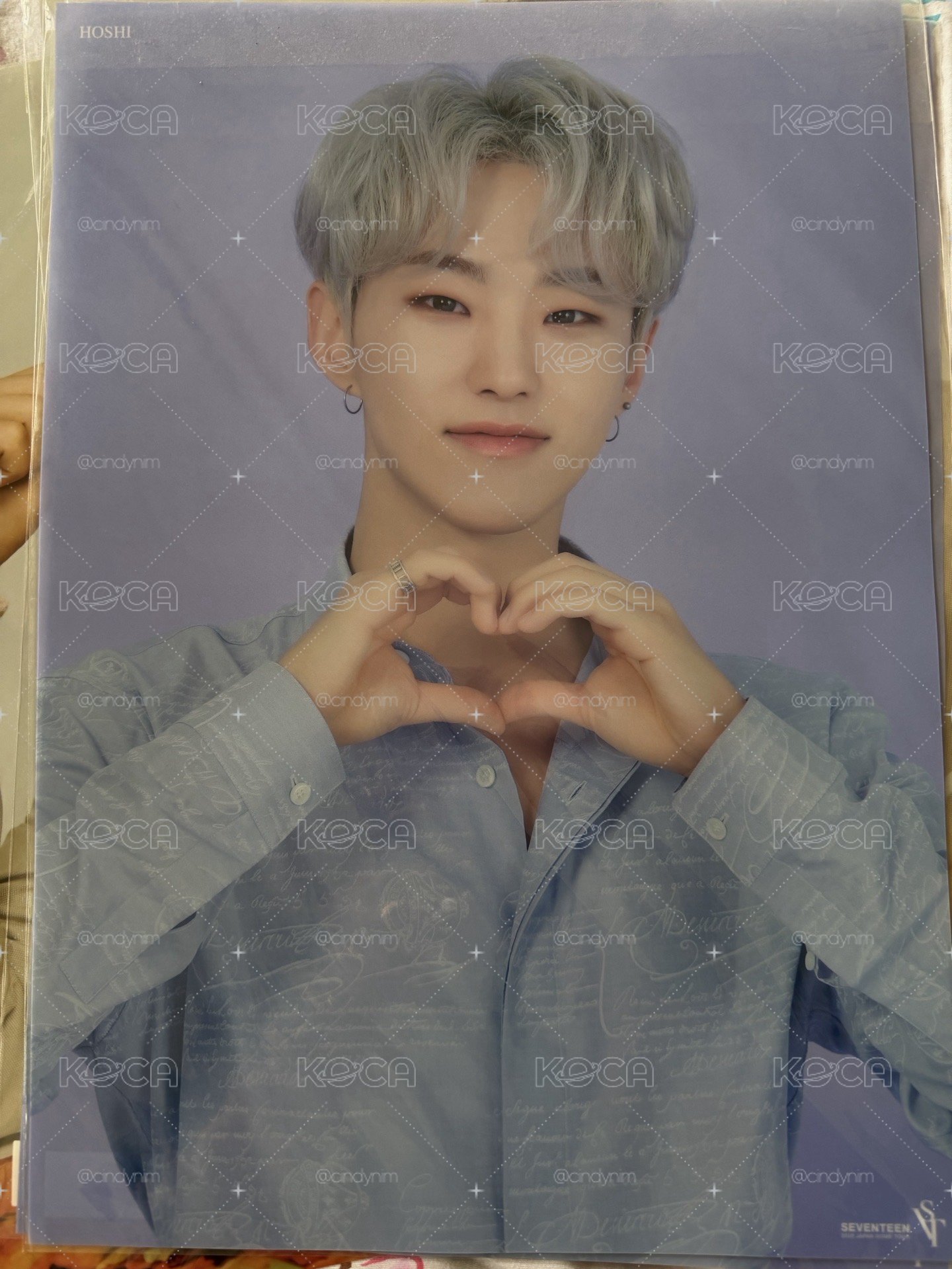 HOSHI 順榮 蛋巡 塑膠海報
