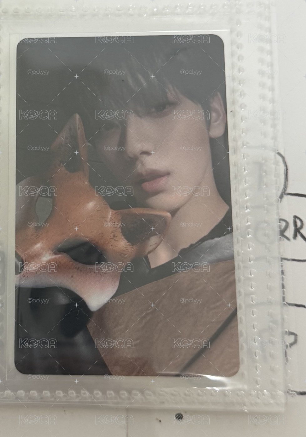 狐狸彬🦊
