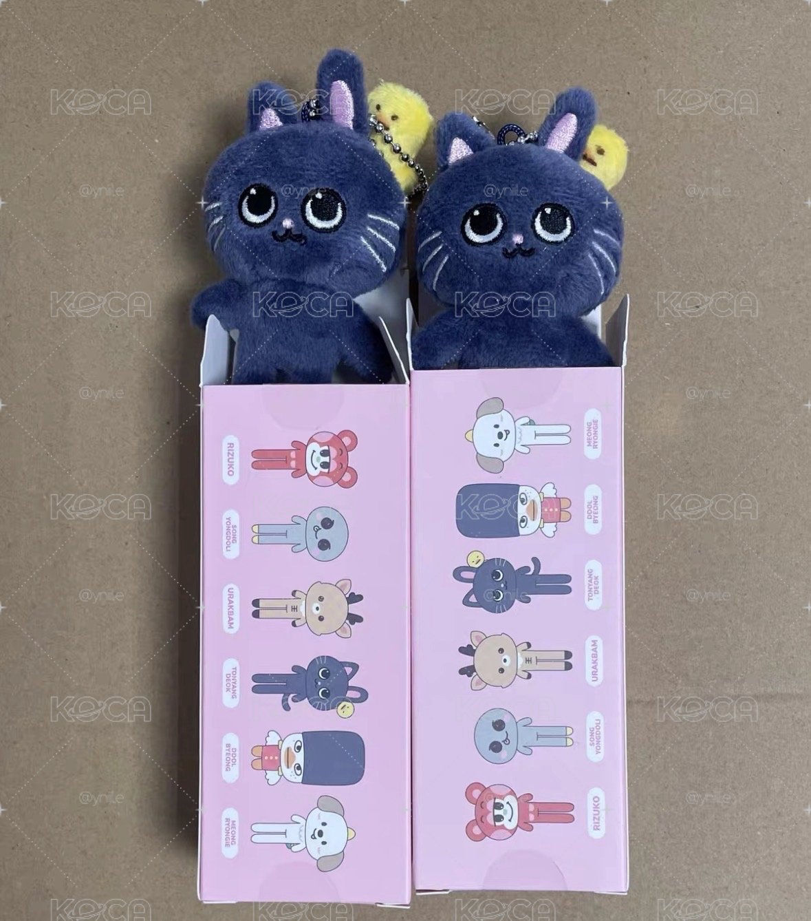 長腿兔貓鴨