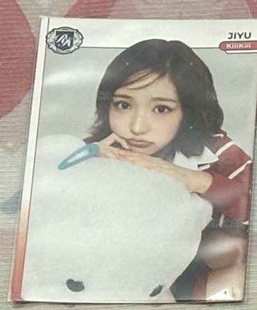 JIYU 抱熊