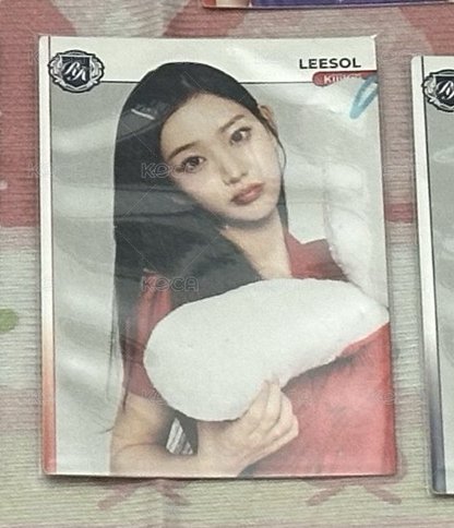 LEESOL 抱熊