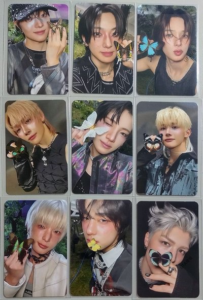&TEAM Back to Life 個人封面版專卡B 蝴蝶卡 BTL