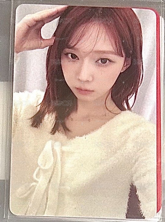 kms白茶狗耳冬