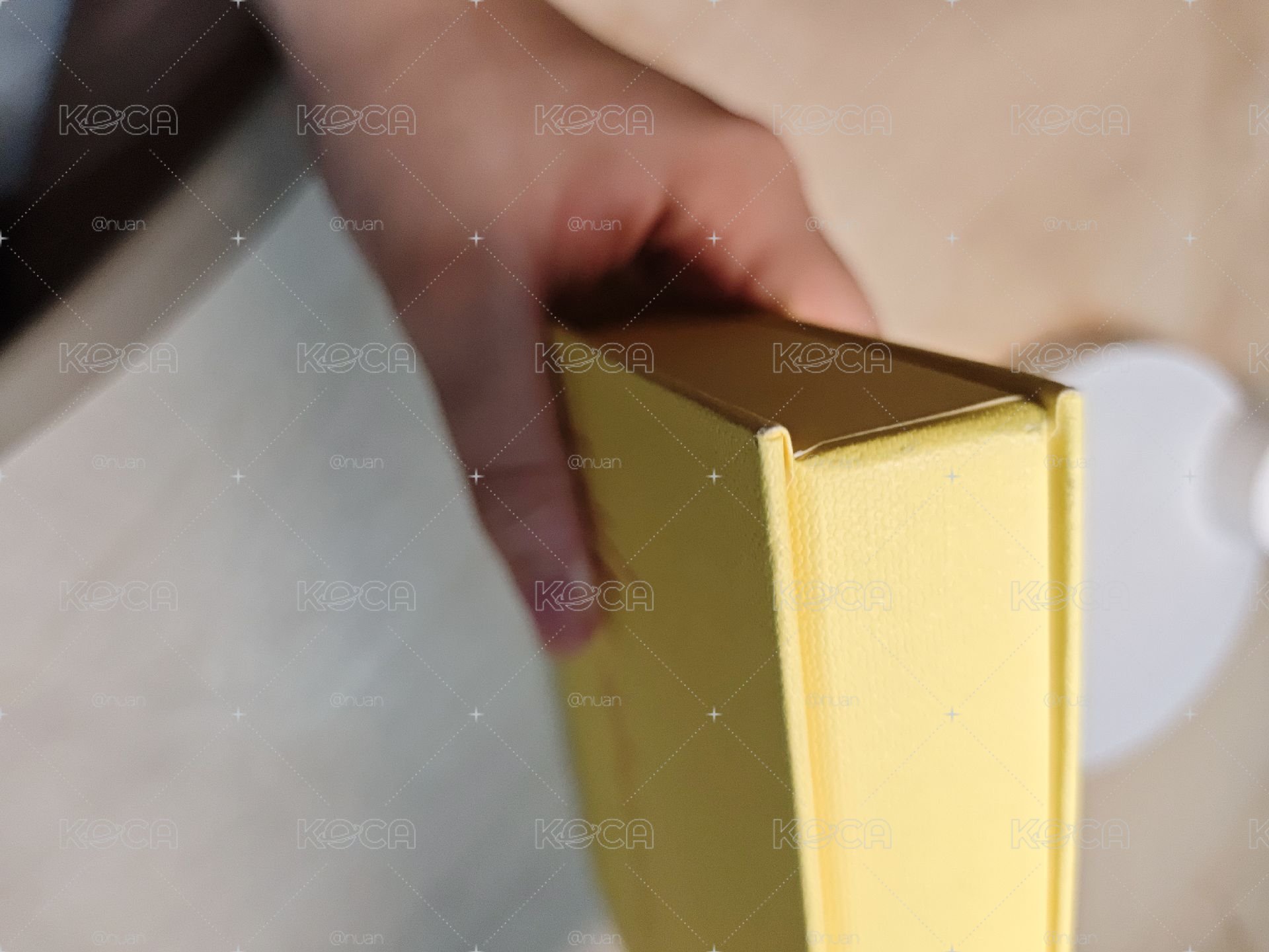 兔正規一黃
