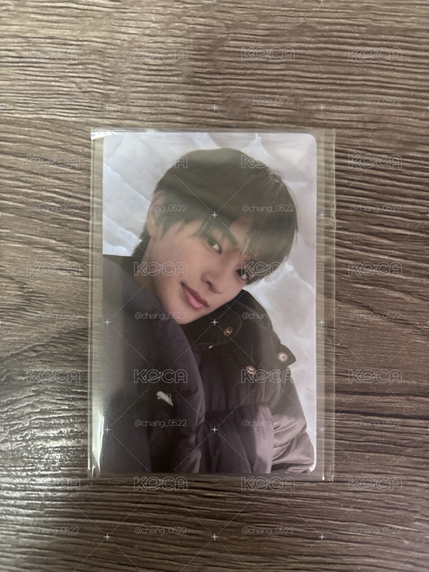 迷ㄧ wvs 2.0雪地小狗