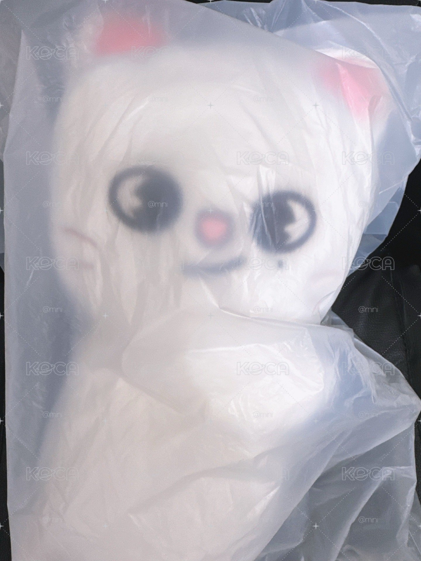 側背娃 辰
