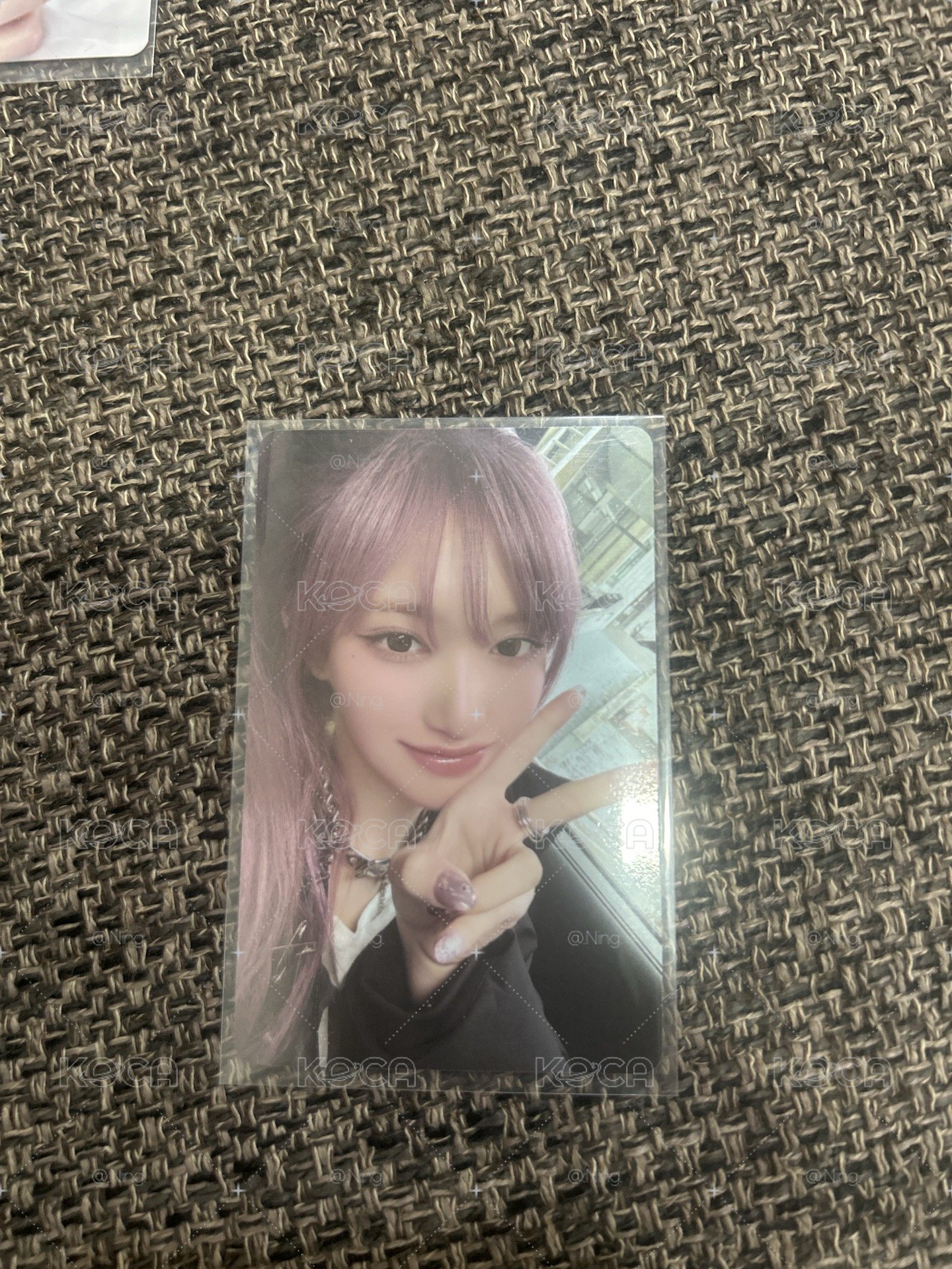粉髮小盤（圖2那張是全專