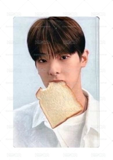 康嗚進咬吐司🍞