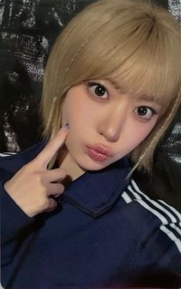 官方周邊 wvs Sound Coin Album 特典卡 