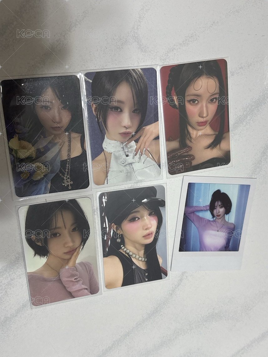 二週年set莎