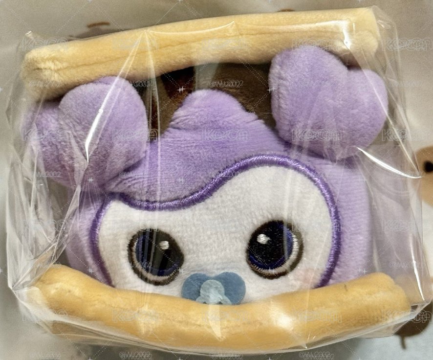 Sana餅乾娃 週四結標🎯