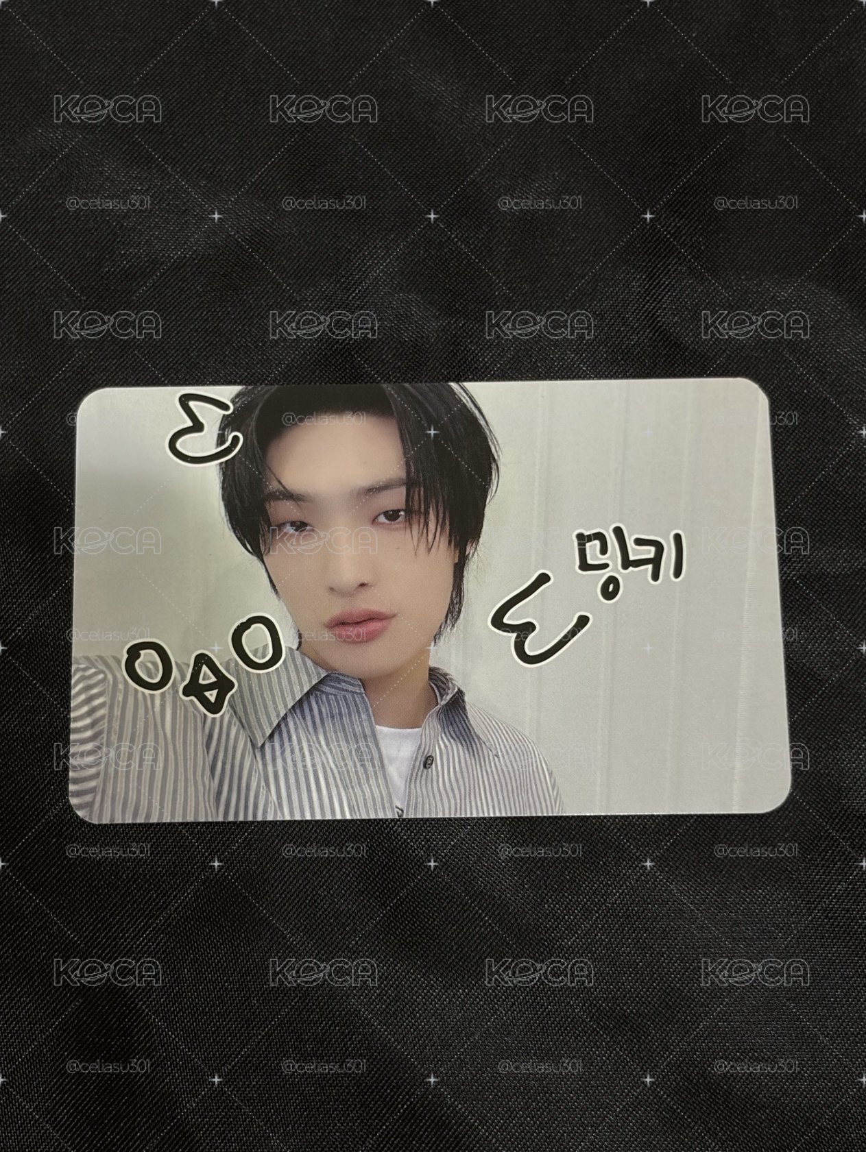 ATEEZ 旼寵物鏡頭卡