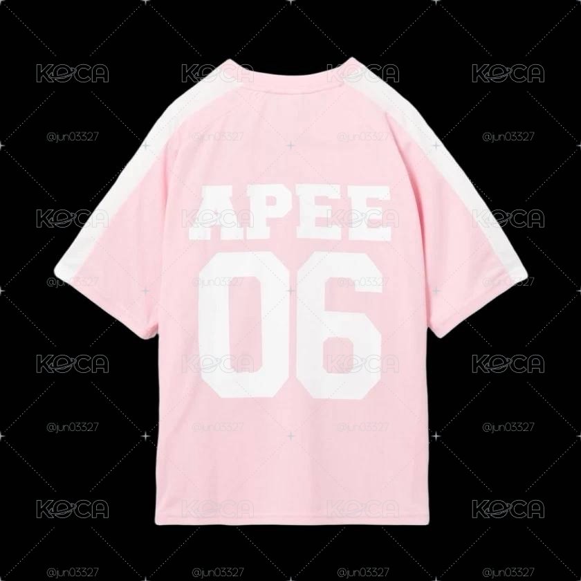 APEE衣服、聯名海報、徽章、大阪場