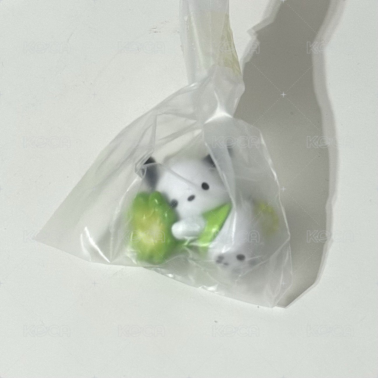 帕恰狗