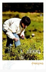 明信片 風物出圈記