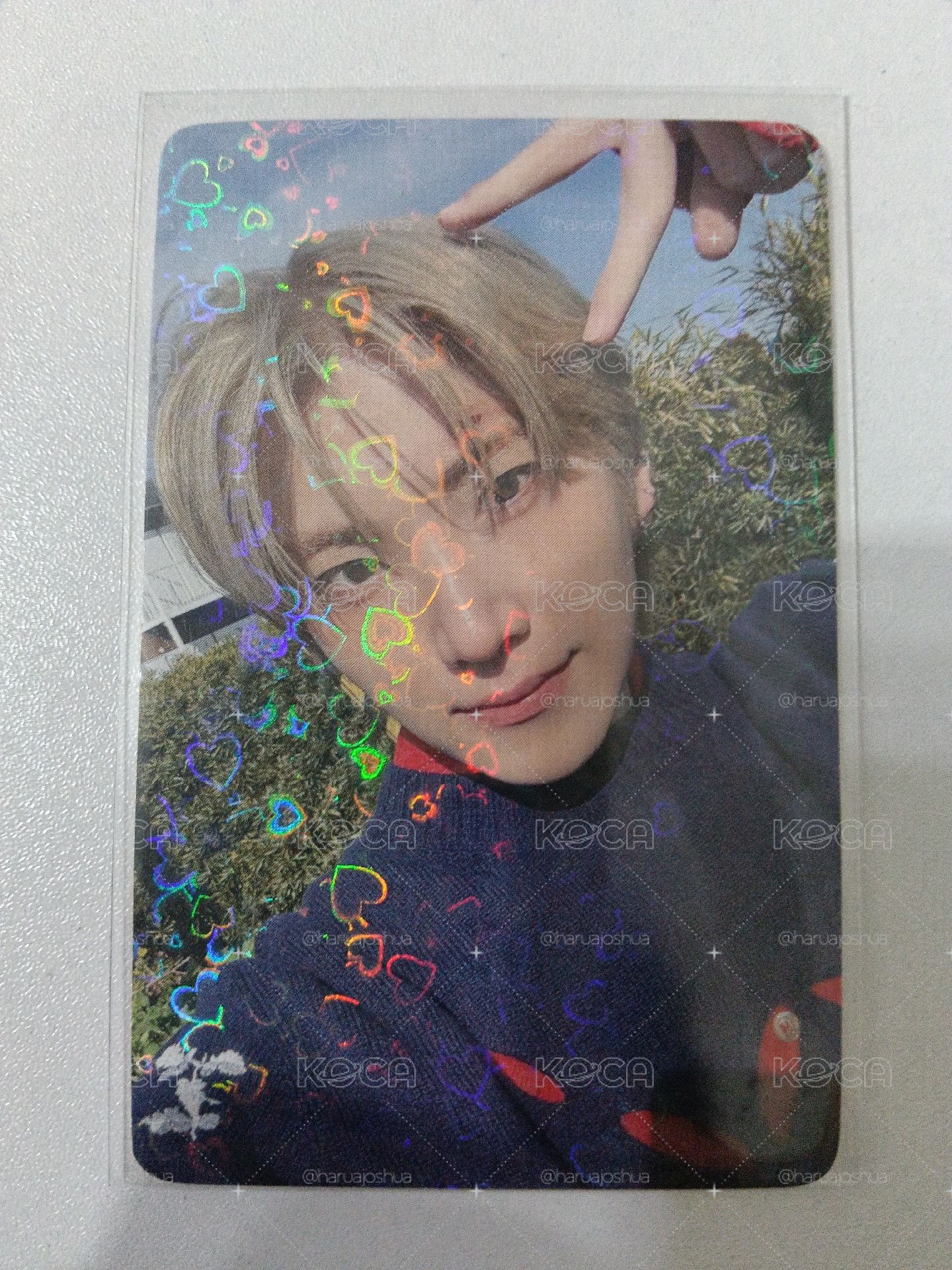 貓耳悠喵