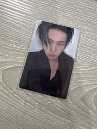 寵物視角琦
