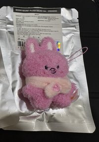 原皮豬兔