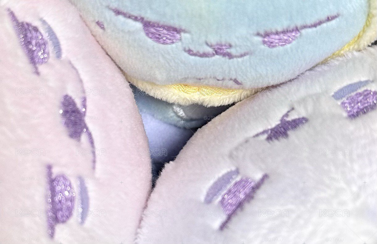誰來接春猛回家 ꒰ ⩌ᴥ⩌ ꒱ (.ᓀ ·̫ ᓂ )⠀