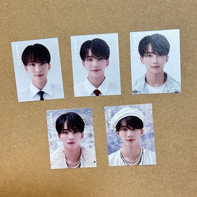 Banila 證件照*5 +八登山扣