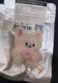 原皮寅