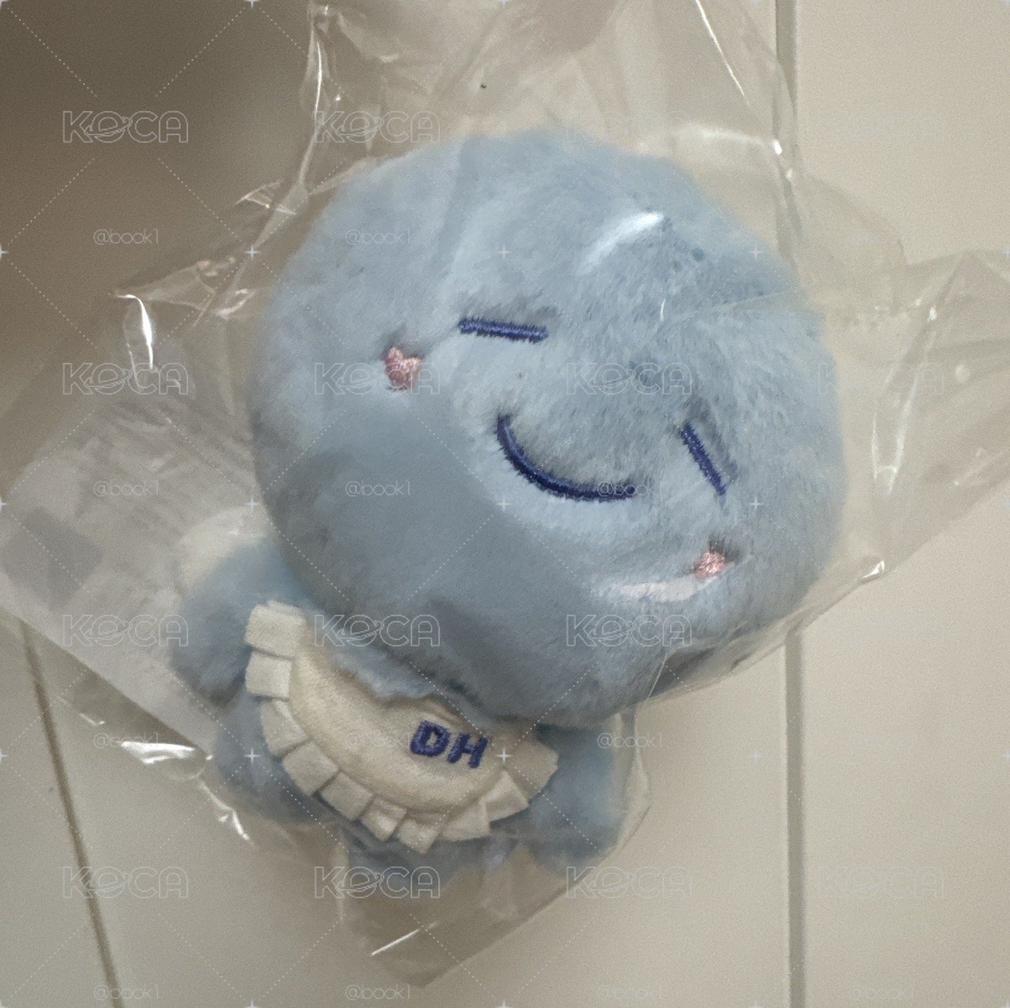 20CM海糰現貨