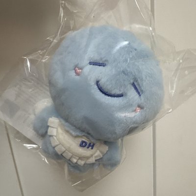 20CM海糰現貨