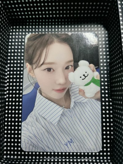 Drama KMStore 簽售卡 冬