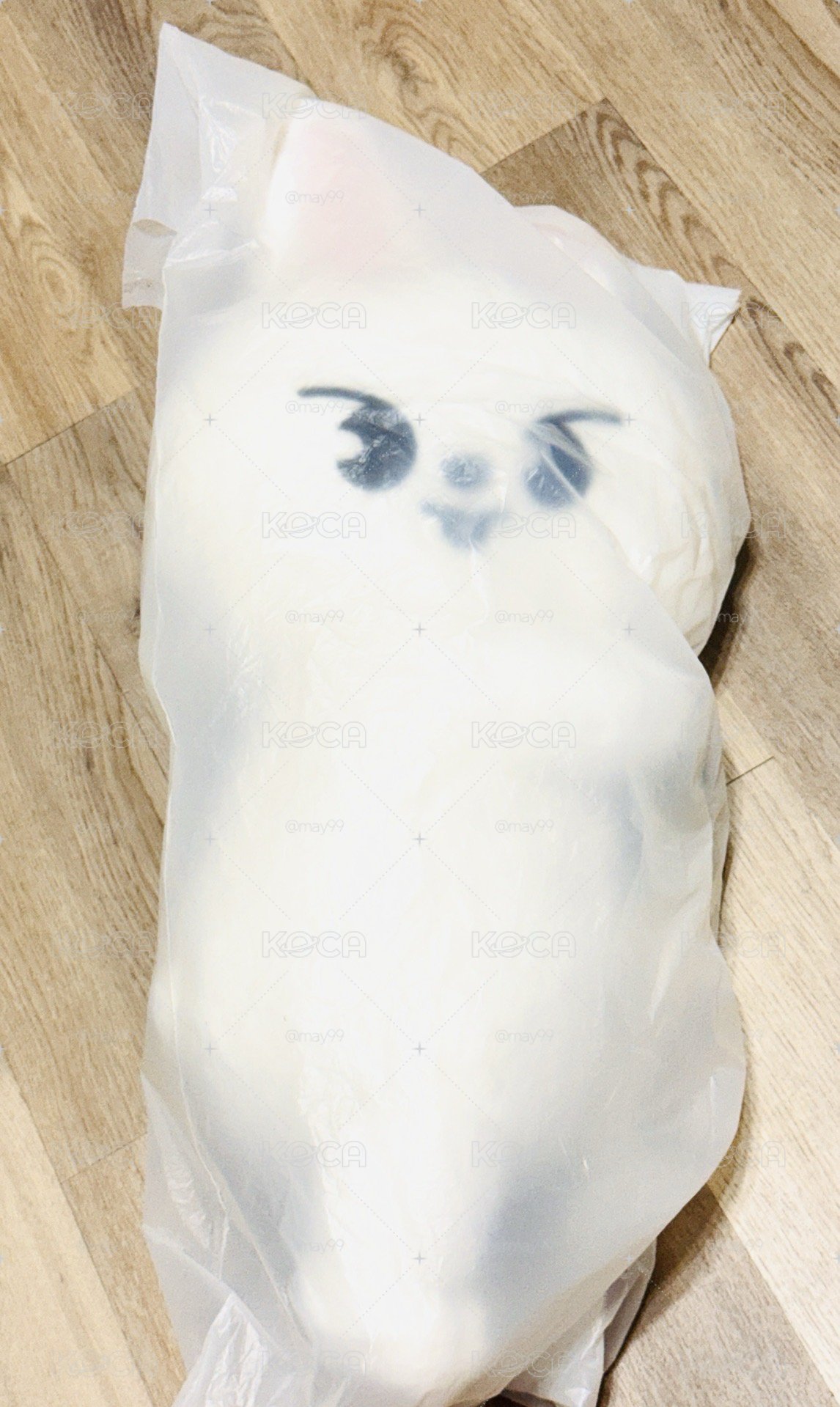 SKZ 側背娃 李畢 全新未拆