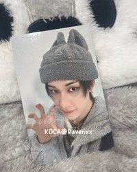 毛帽小狼