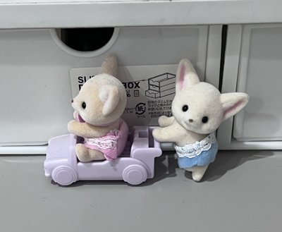 森林家族 耳廓狐兩小隻萌萌