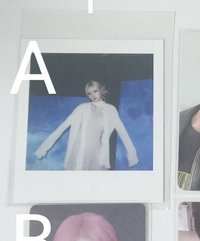 A1