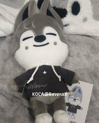20公分娃（需綁4張卡）
