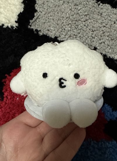 飯坐娃盤