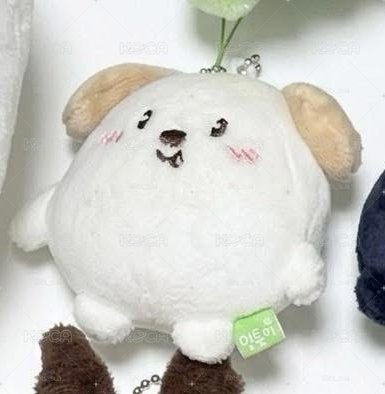 狗龍糰子 
