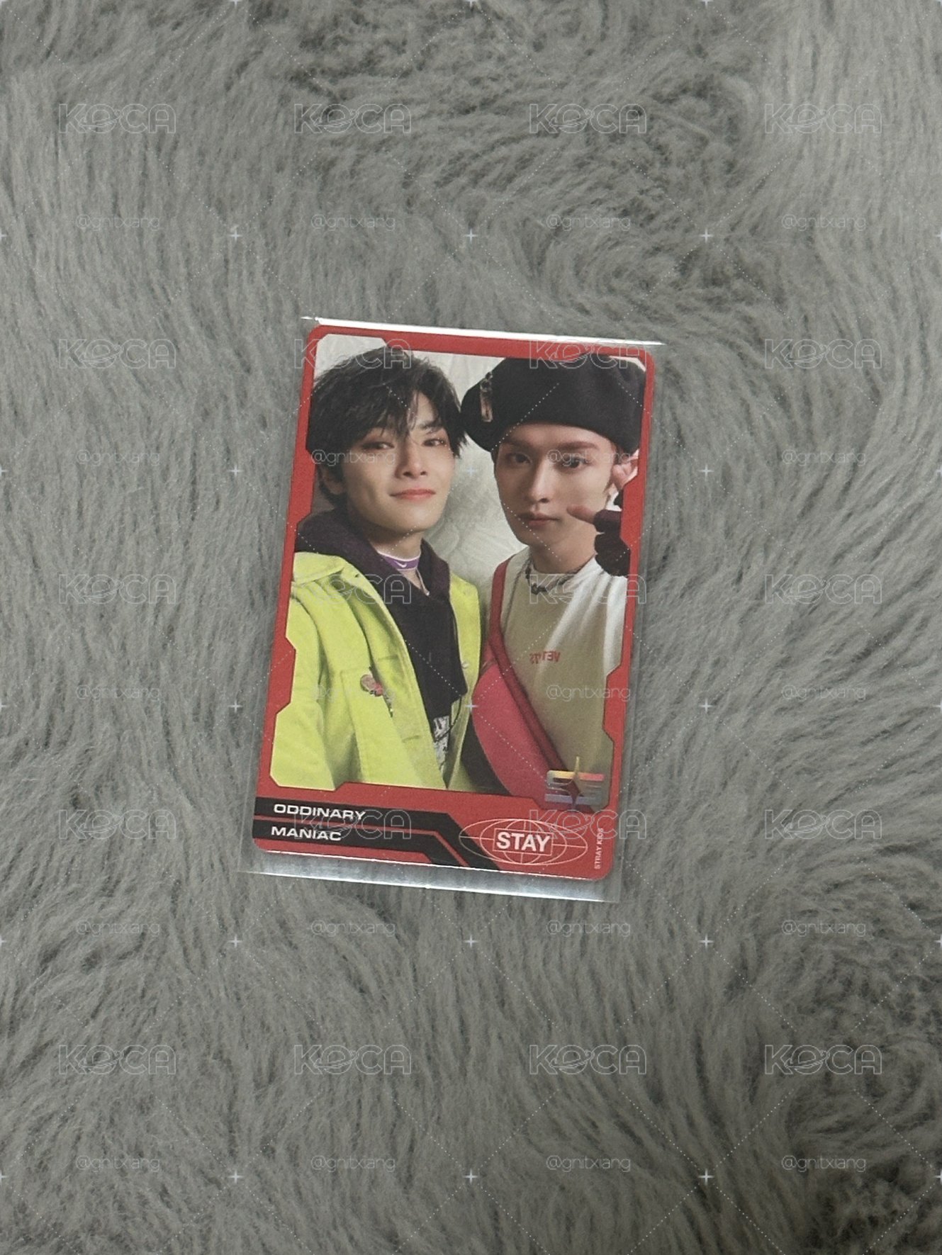 🧭小迷的銅板專區