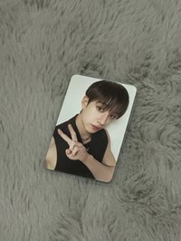 🐺順毛小狗