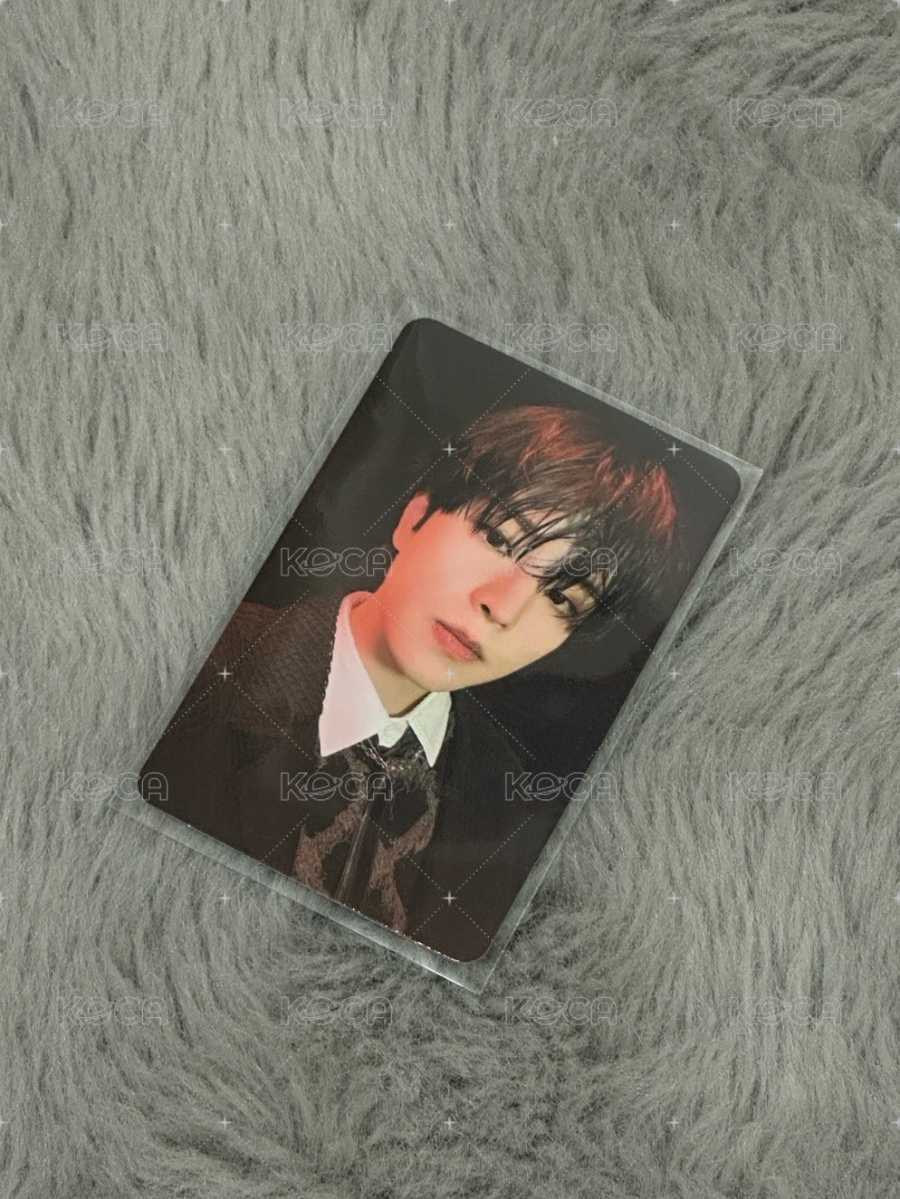 🐶濕毛小狗