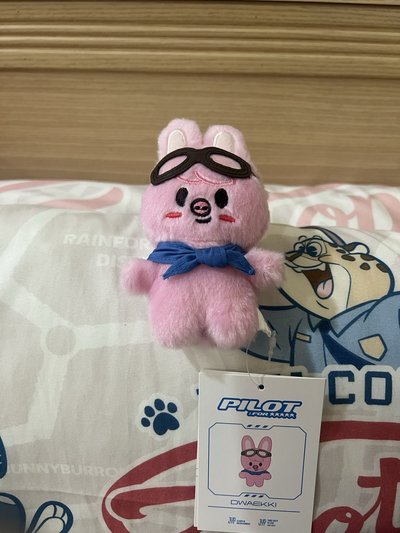 彬尼 飛行