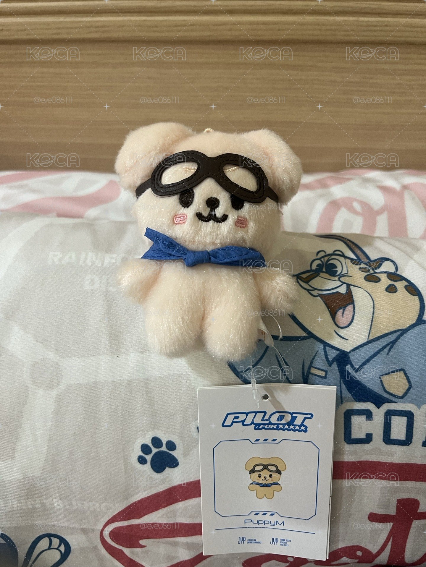 帕皮 飛行