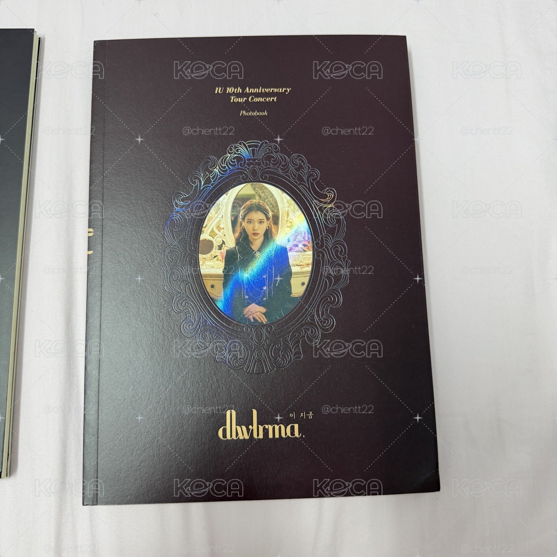 IU 李知恩 2018 十週年巡迴DVD