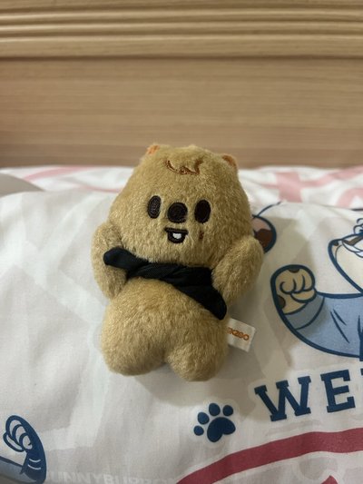 城 闊卡 捧臉