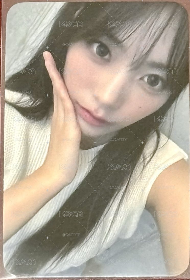 藍鯨日特 燕
