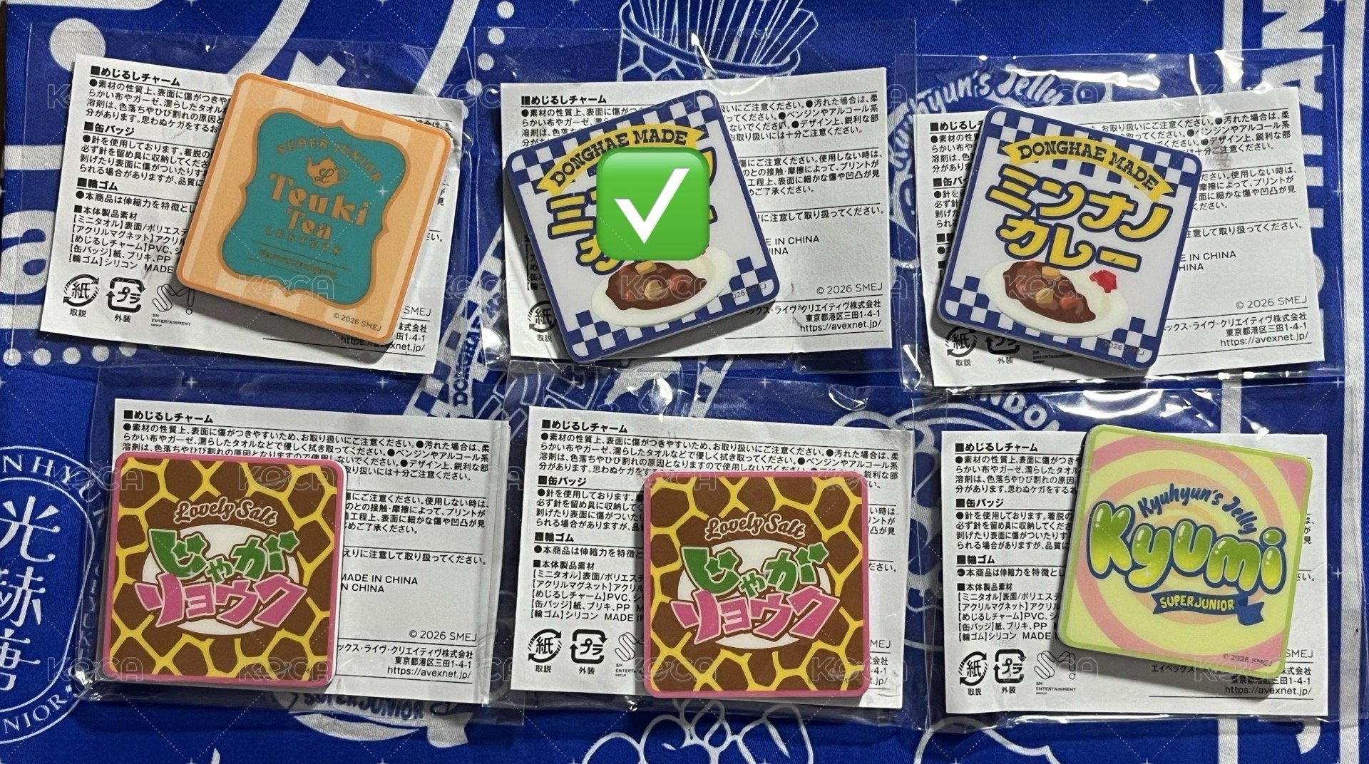 磁鐵：東海咖哩